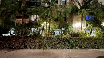 Enlarge photo 13