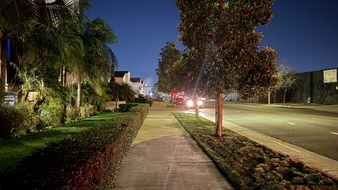 Enlarge photo 15