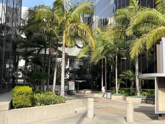 Tower Plaza - Cedars Sinai