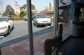Enlarge photo 28
