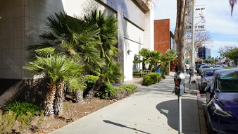 Enlarge photo 14