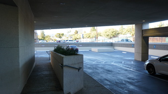 Enlarge photo 252