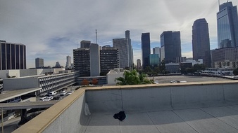 Enlarge photo 7