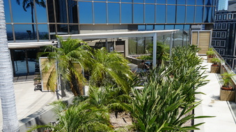 Enlarge photo 57