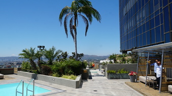 Enlarge photo 67
