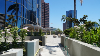 Enlarge photo 73