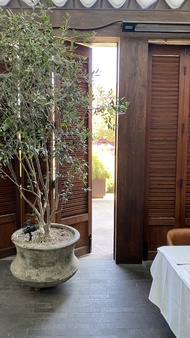 Enlarge photo 35