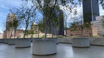Enlarge photo 115