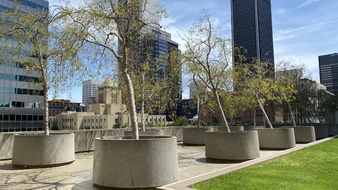 Enlarge photo 112