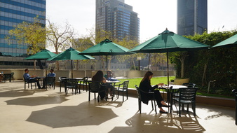 BONNAVENTURE BREWING - DOWNTOWN LA