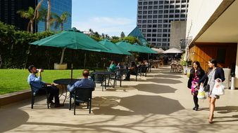 Enlarge photo 41