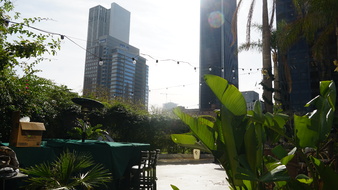 Enlarge photo 43