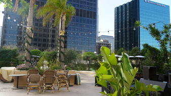 Enlarge photo 45