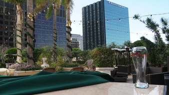 Enlarge photo 49