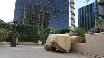 Enlarge photo 51