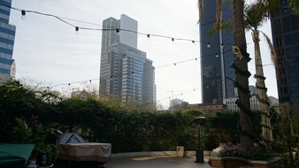 Enlarge photo 52
