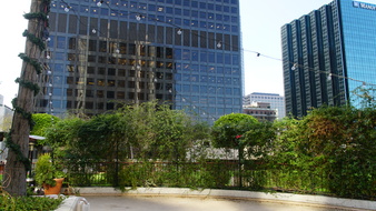 Enlarge photo 53