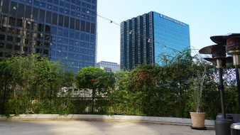 Enlarge photo 54