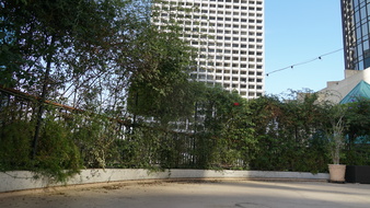 Enlarge photo 60