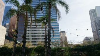 Enlarge photo 62