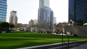 Enlarge photo 71