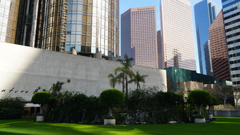 Enlarge photo 75