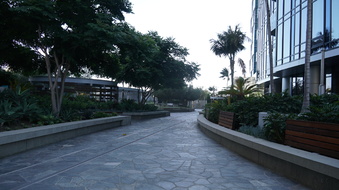 Enlarge photo 77
