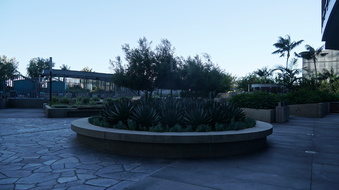 Enlarge photo 80