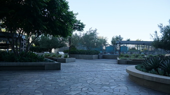 Enlarge photo 81