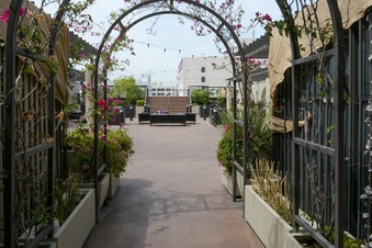 Enlarge photo 35