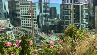 Enlarge photo 62