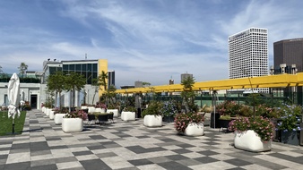 Enlarge photo 55