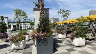 Enlarge photo 54