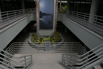 Enlarge photo 66