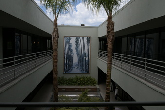 Enlarge photo 85