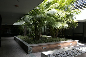 Enlarge photo 112