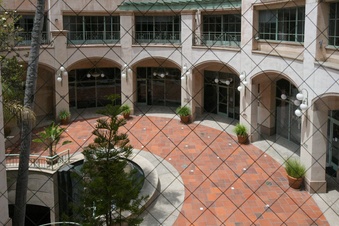 Enlarge photo 37