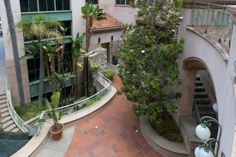 Enlarge photo 81