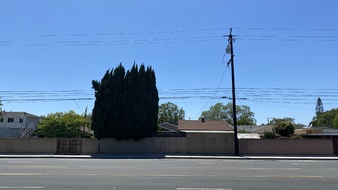 Enlarge photo 14