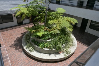 Enlarge photo 25