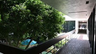 Enlarge photo 12