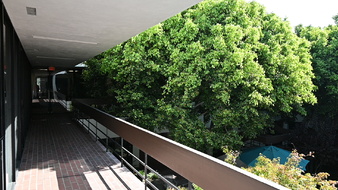 Enlarge photo 14