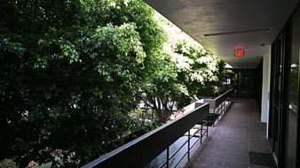 Enlarge photo 16
