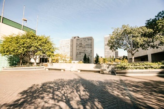 Enlarge photo 51