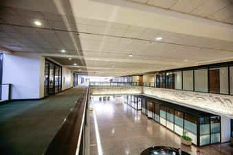 Enlarge photo 41