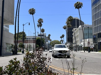 Enlarge photo 16