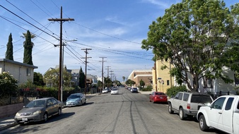 Enlarge photo 30