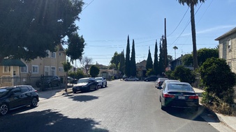 Enlarge photo 54