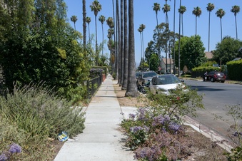 Enlarge photo 33