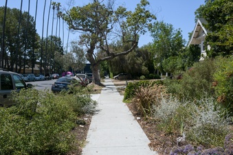 Enlarge photo 32